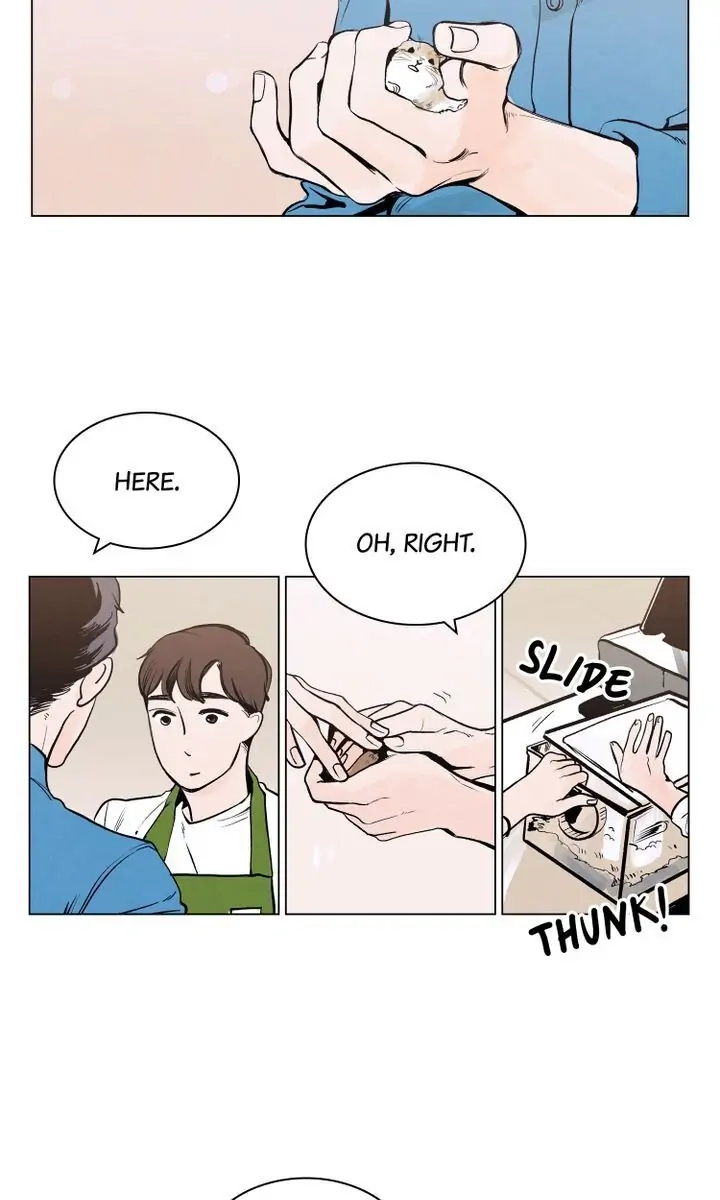 Spring, the Color of Love Chapter 1 page 31 - 