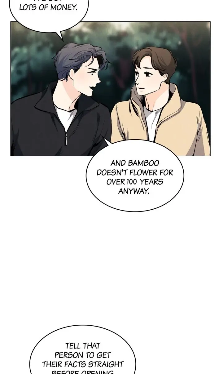 Spring, the Color of Love Chapter 71 page 41 - 