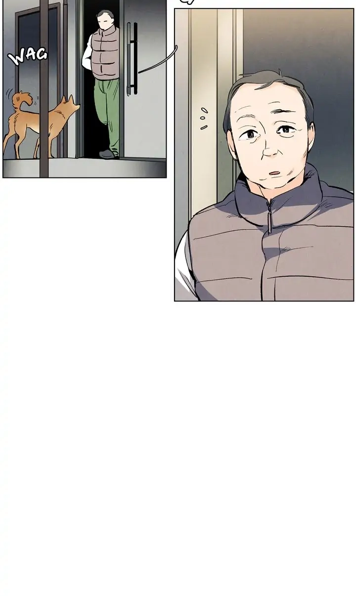 Spring, the Color of Love Chapter 71 page 49 - 