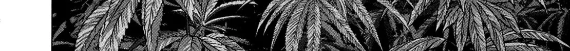 Sprite Chapter 83 page 4 - 