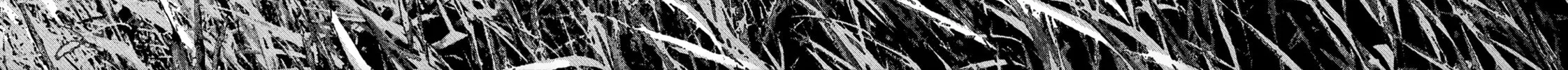Sprite Chapter 85 page 4 - 