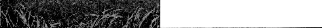 Sprite Chapter 89 page 8 - 