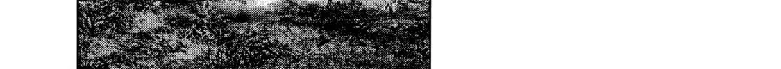 Sprite Chapter 92 page 46 - 