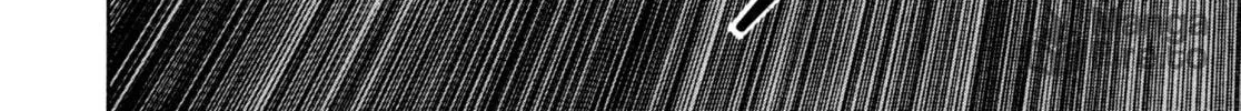 SS Chapter 2 page 40 - 