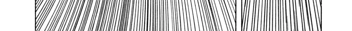 SS Chapter 3 page 16 - 