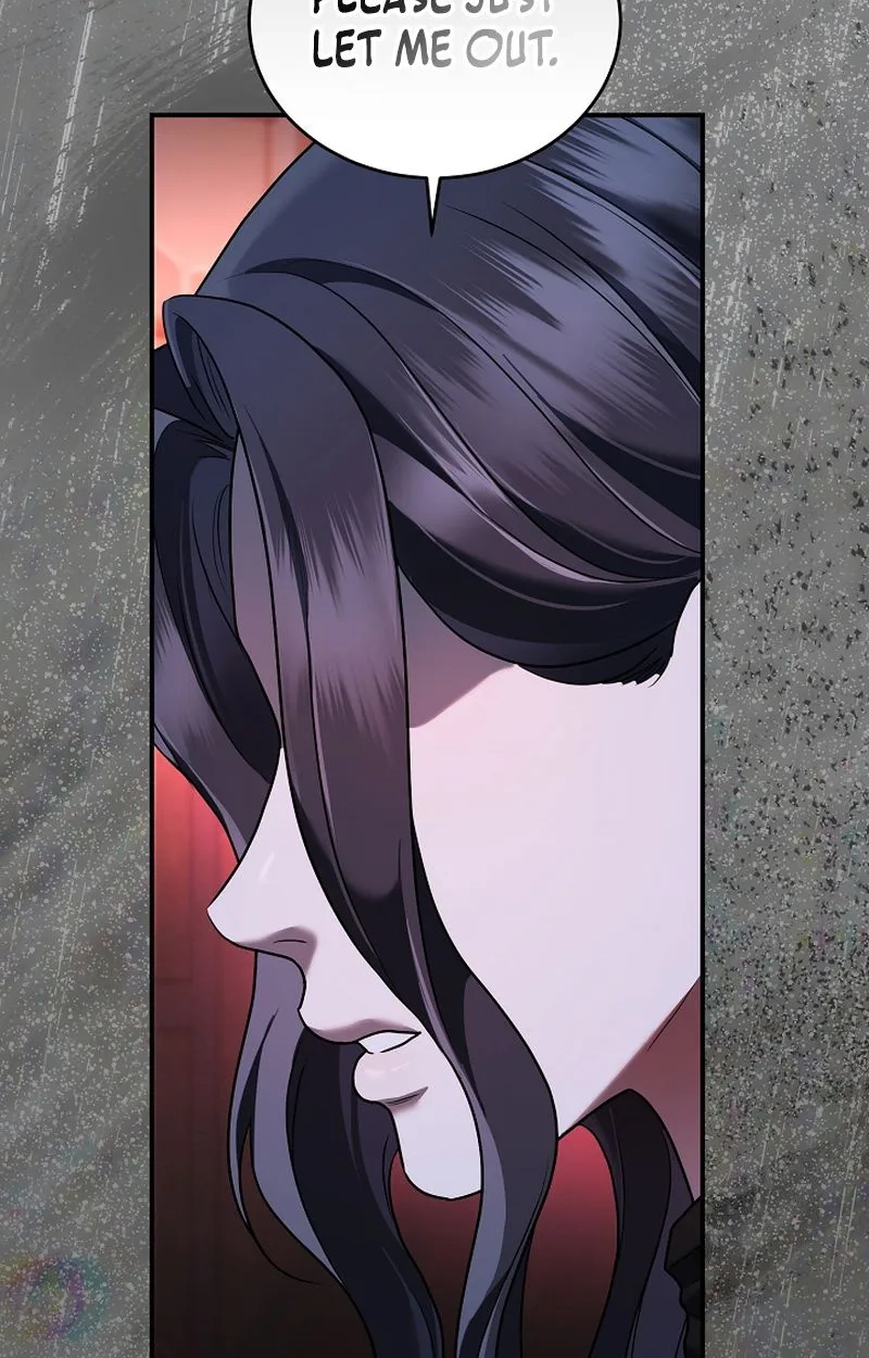 SSS-Class Regressor Has No Conscience Chapter 24 page 75 - 