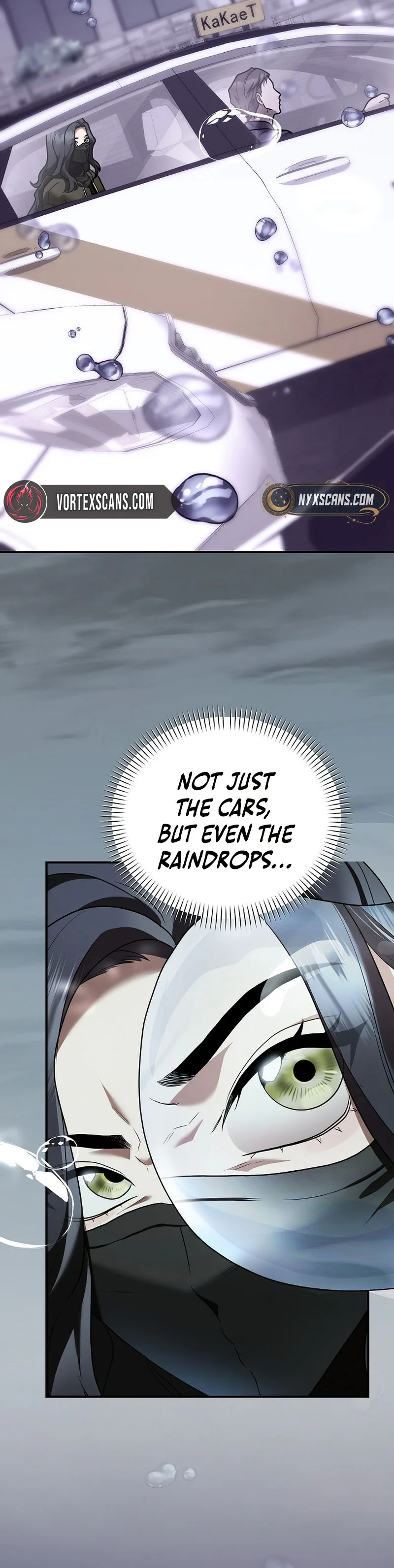 SSS-Class Regressor Has No Conscience Chapter 27 page 6 - 