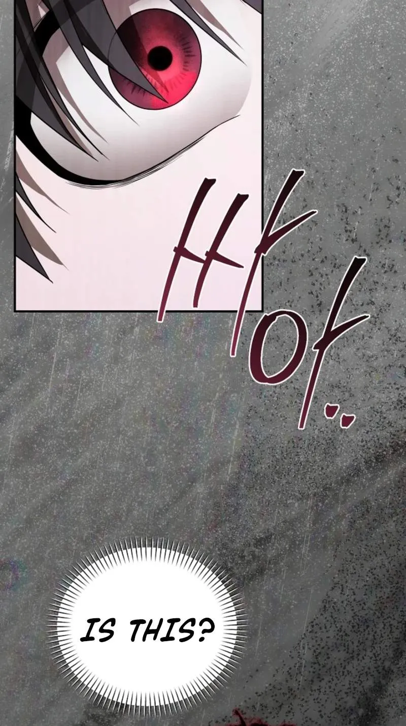 SSS-Class Regressor Has No Conscience Chapter 32 page 27 - 