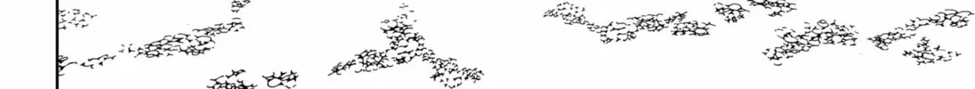 Stage S Chapter 30 page 4 - 