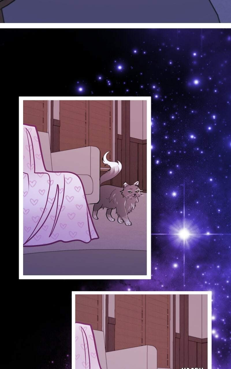 Star Catcher Chapter 113 page 28 - 