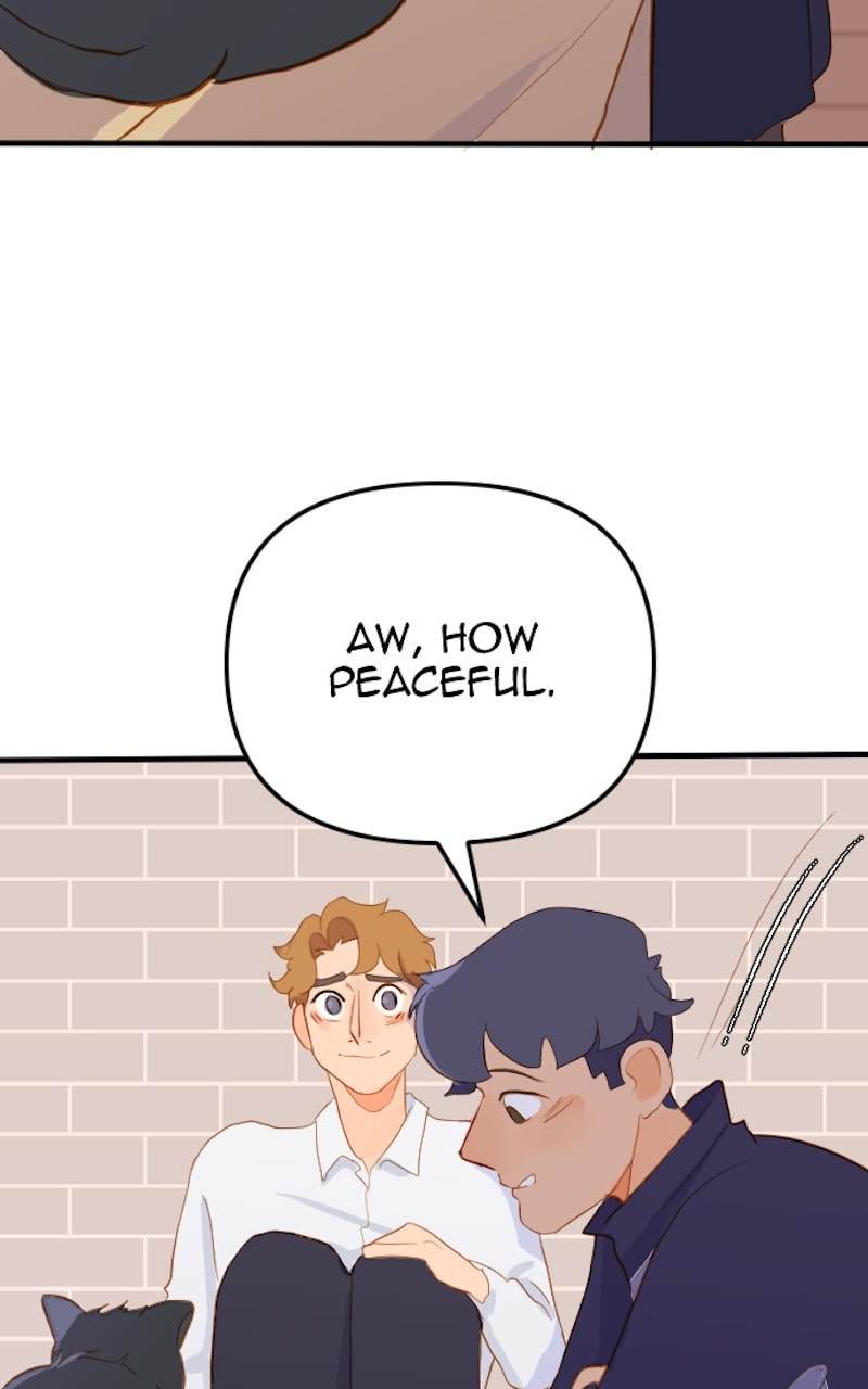 stare down. Chapter 32 page 41 - 