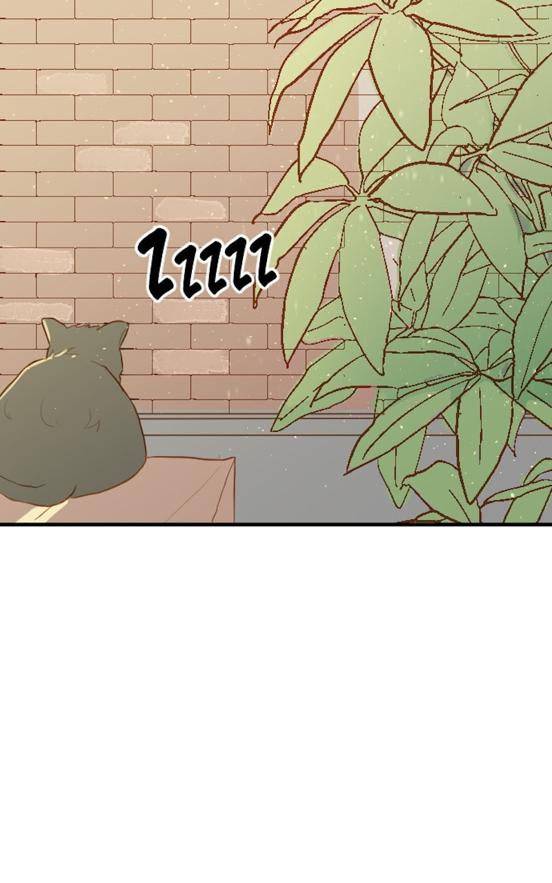stare down. Chapter 32 page 70 - 