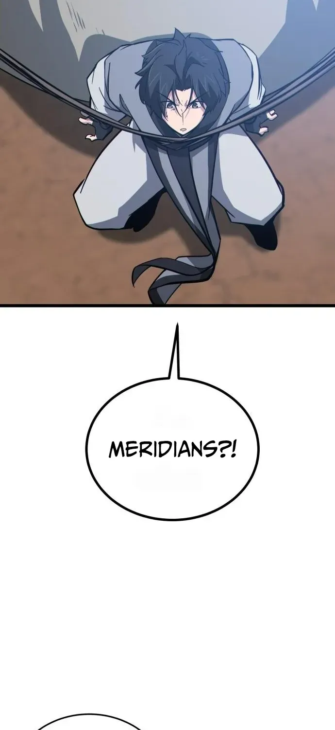 Starting the Sect System Chapter 13 page 55 - 