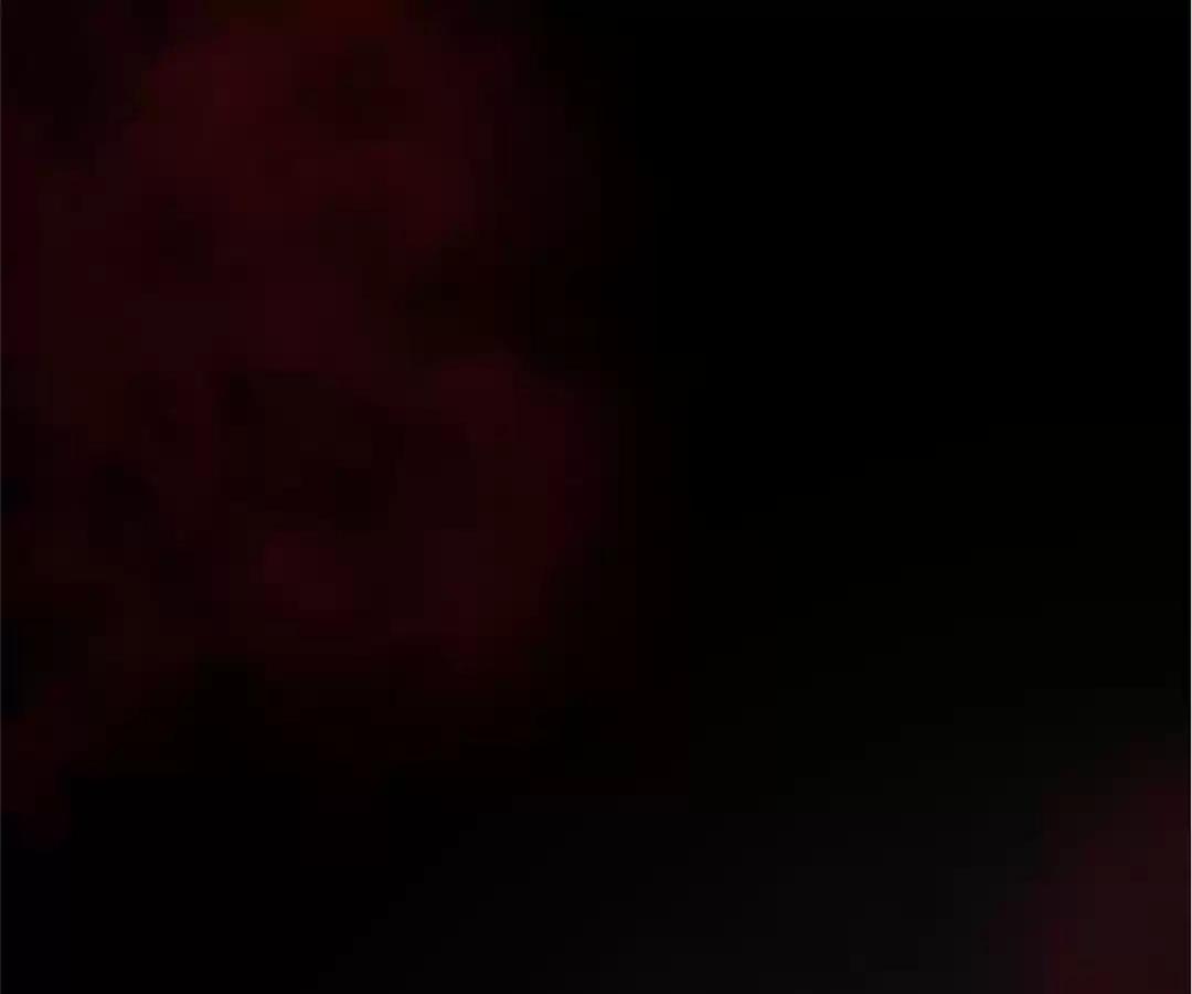 Stay in This Century Chapter 37 page 47 - 
