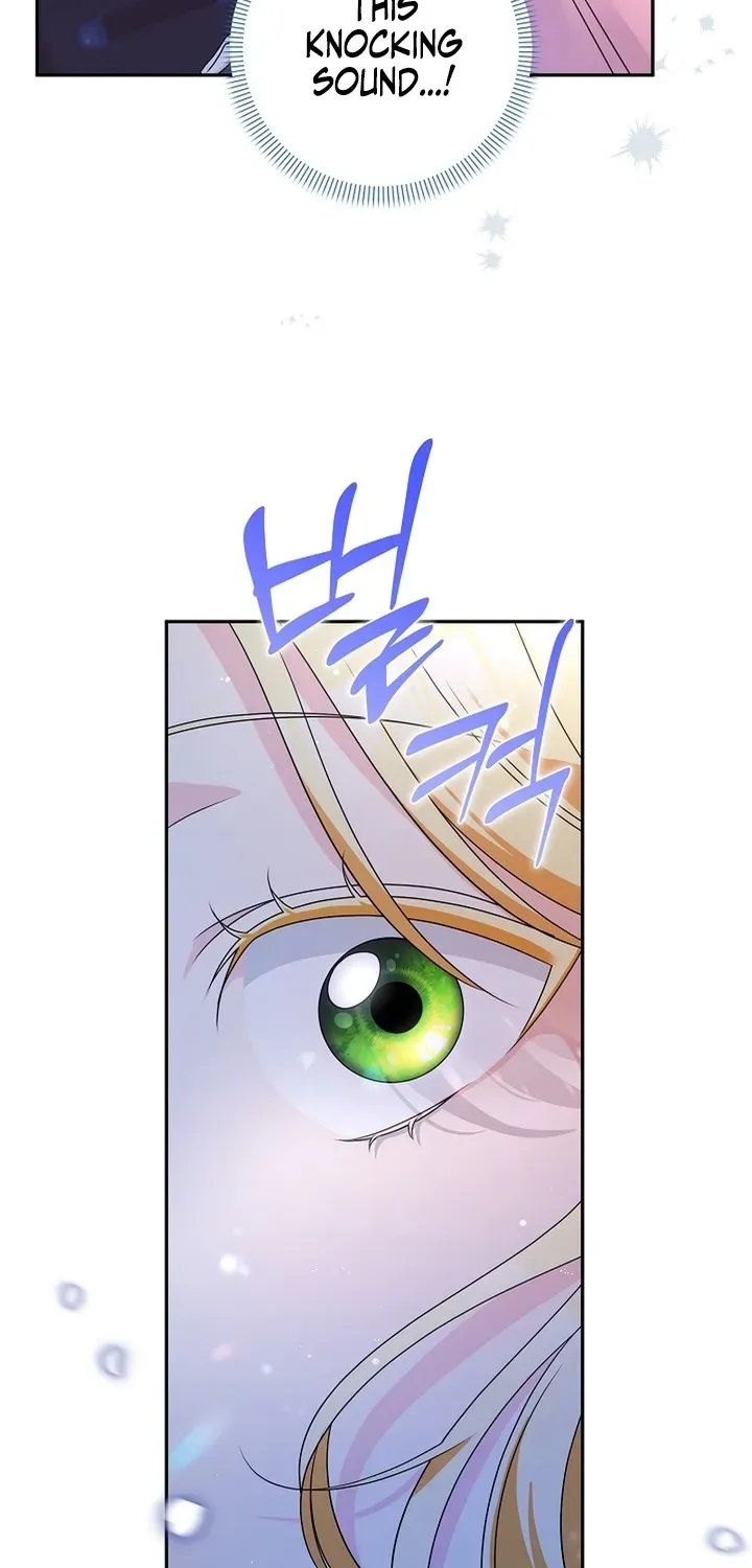 Stop Obsessing, Please Divorce Me! Chapter 1 page 24 - 