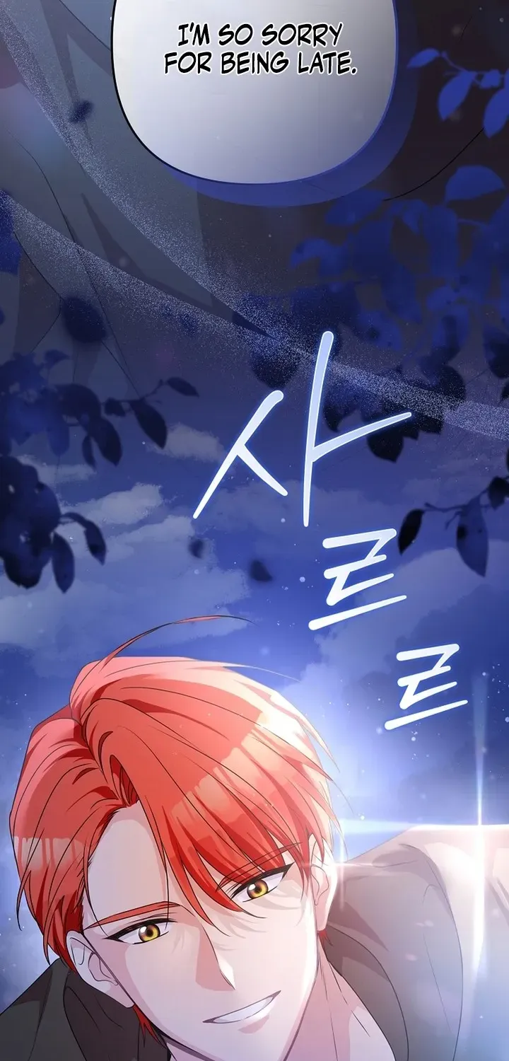Stop Obsessing, Please Divorce Me! Chapter 1 page 27 - 