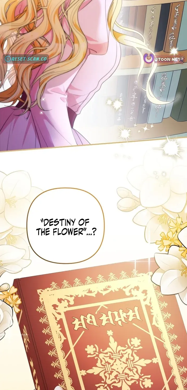 Stop Obsessing, Please Divorce Me! Chapter 1 page 35 - 