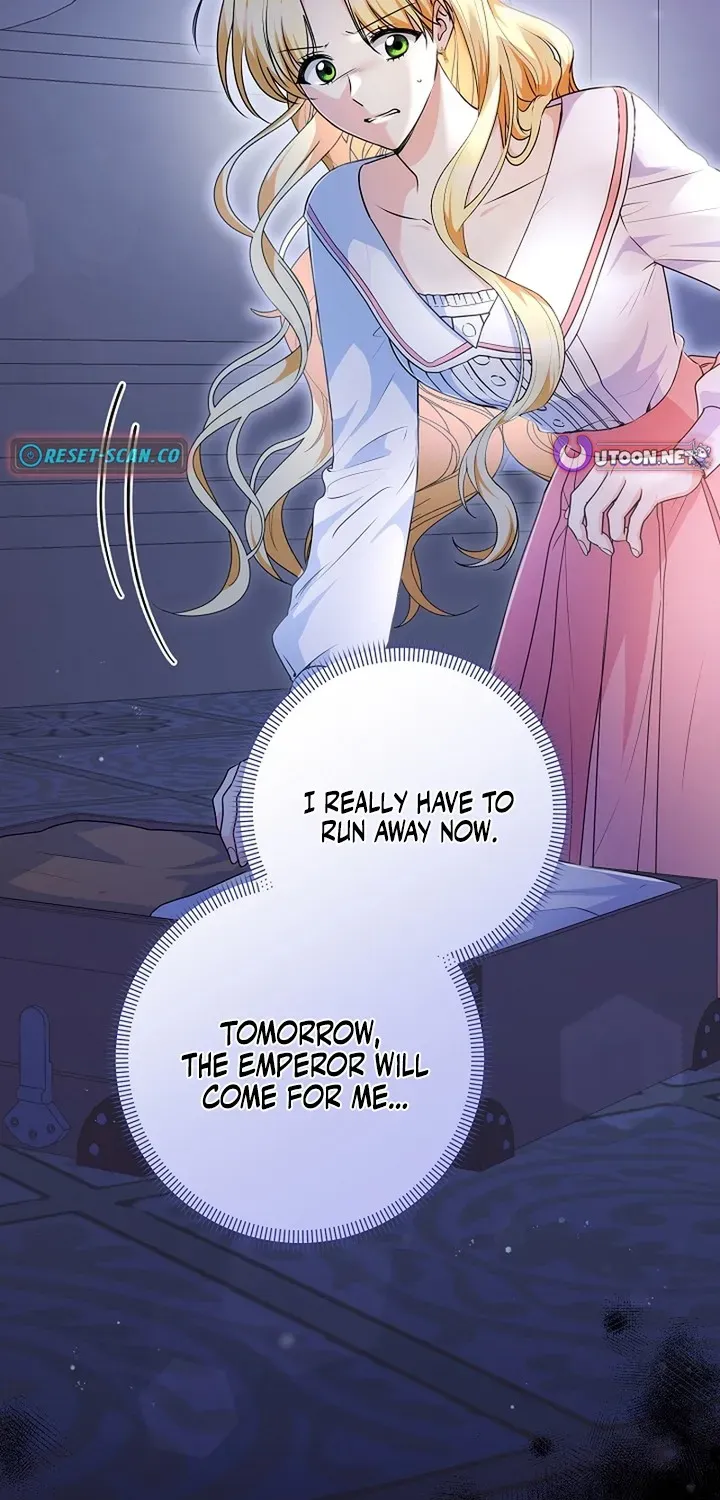 Stop Obsessing, Please Divorce Me! Chapter 1 page 5 - 