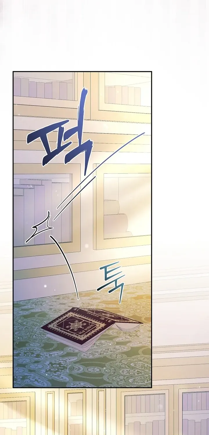 Stop Obsessing, Please Divorce Me! Chapter 1 page 49 - 