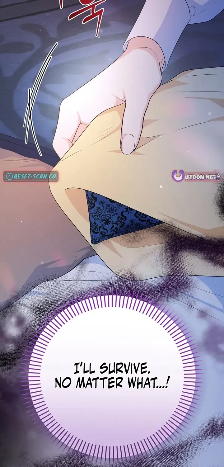 Stop Obsessing, Please Divorce Me! Chapter 1 page 9 - 