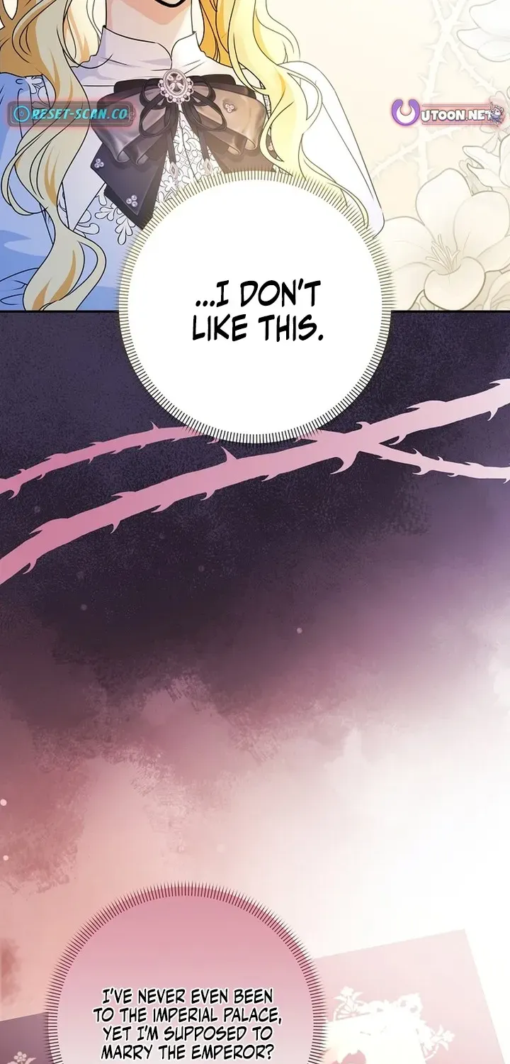 Stop Obsessing, Please Divorce Me! Chapter 1 page 81 - 