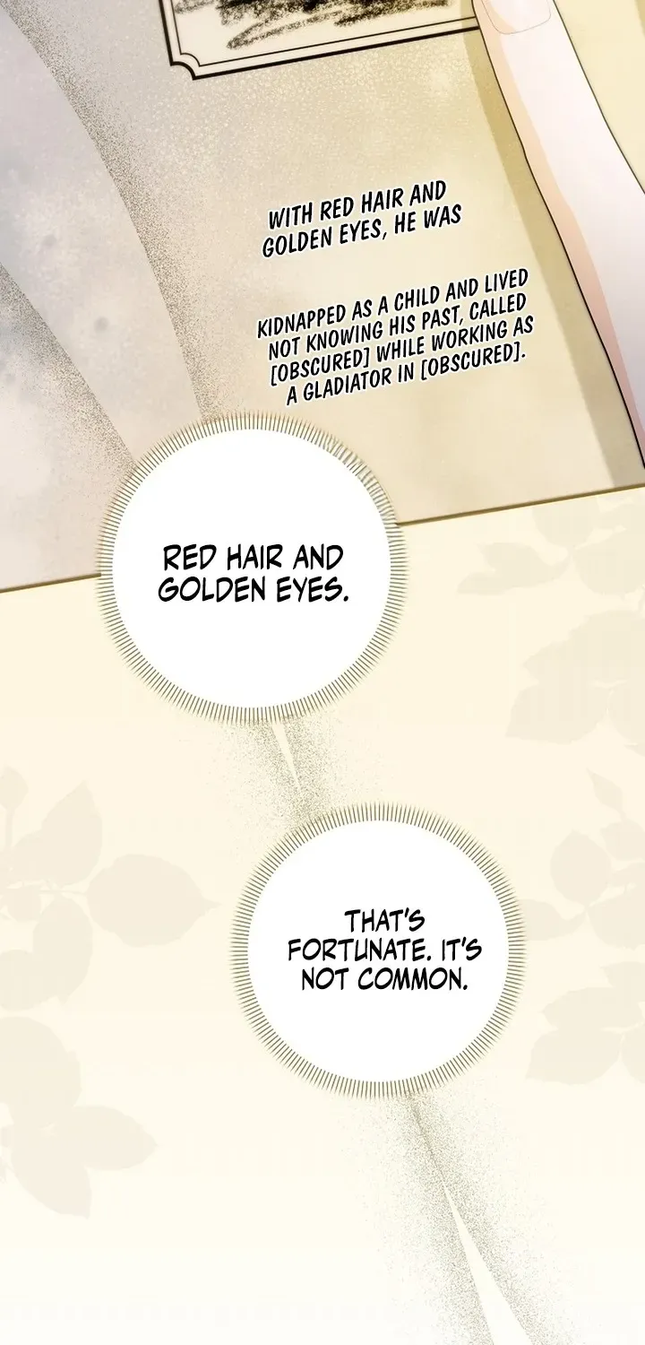 Stop Obsessing, Please Divorce Me! Chapter 1 page 95 - 