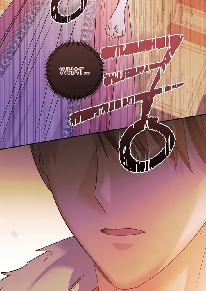Stop Obsessing, Please Divorce Me! Chapter 10 page 42 - 