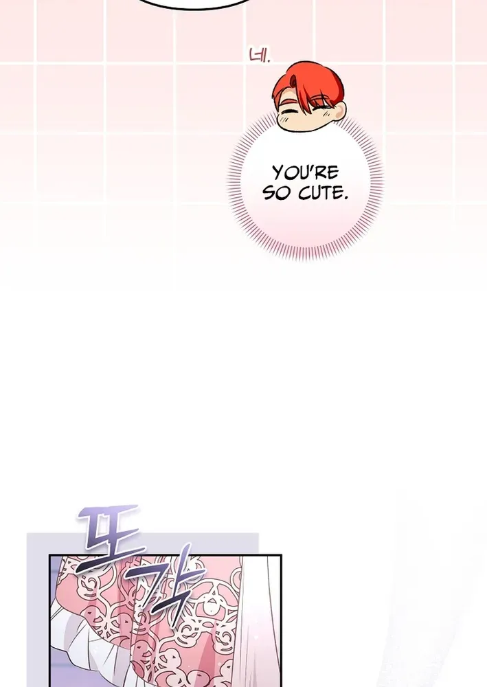 Stop Obsessing, Please Divorce Me! Chapter 11 page 14 - 