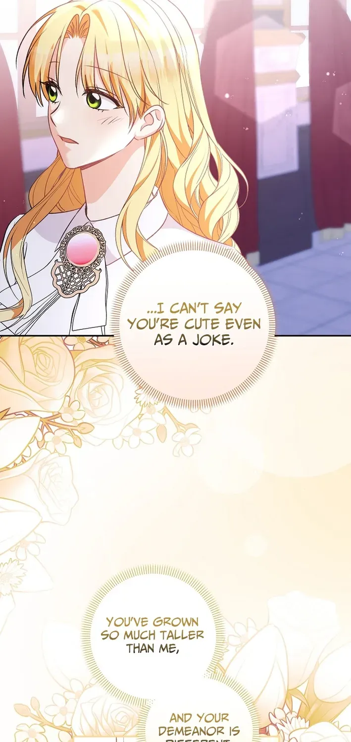 Stop Obsessing, Please Divorce Me! Chapter 11 page 29 - 