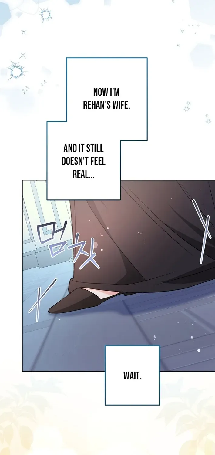 Stop Obsessing, Please Divorce Me! Chapter 11 page 48 - 