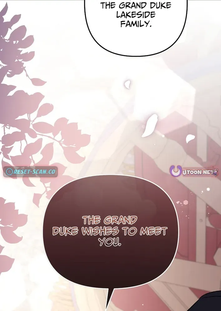 Stop Obsessing, Please Divorce Me! Chapter 11 page 91 - 