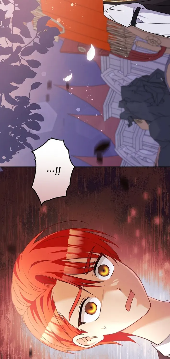 Stop Obsessing, Please Divorce Me! Chapter 11 page 93 - 
