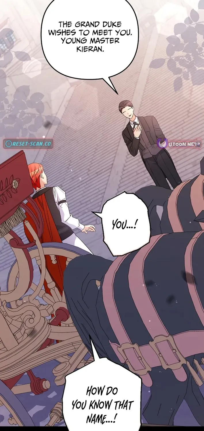 Stop Obsessing, Please Divorce Me! Chapter 12 page 2 - 
