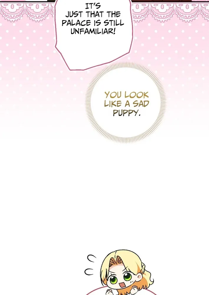 Stop Obsessing, Please Divorce Me! Chapter 13 page 14 - 