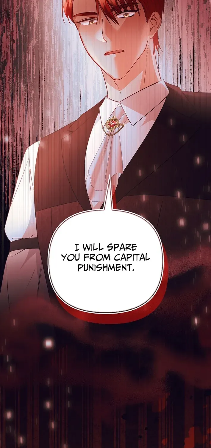 Stop Obsessing, Please Divorce Me! Chapter 13 page 36 - 