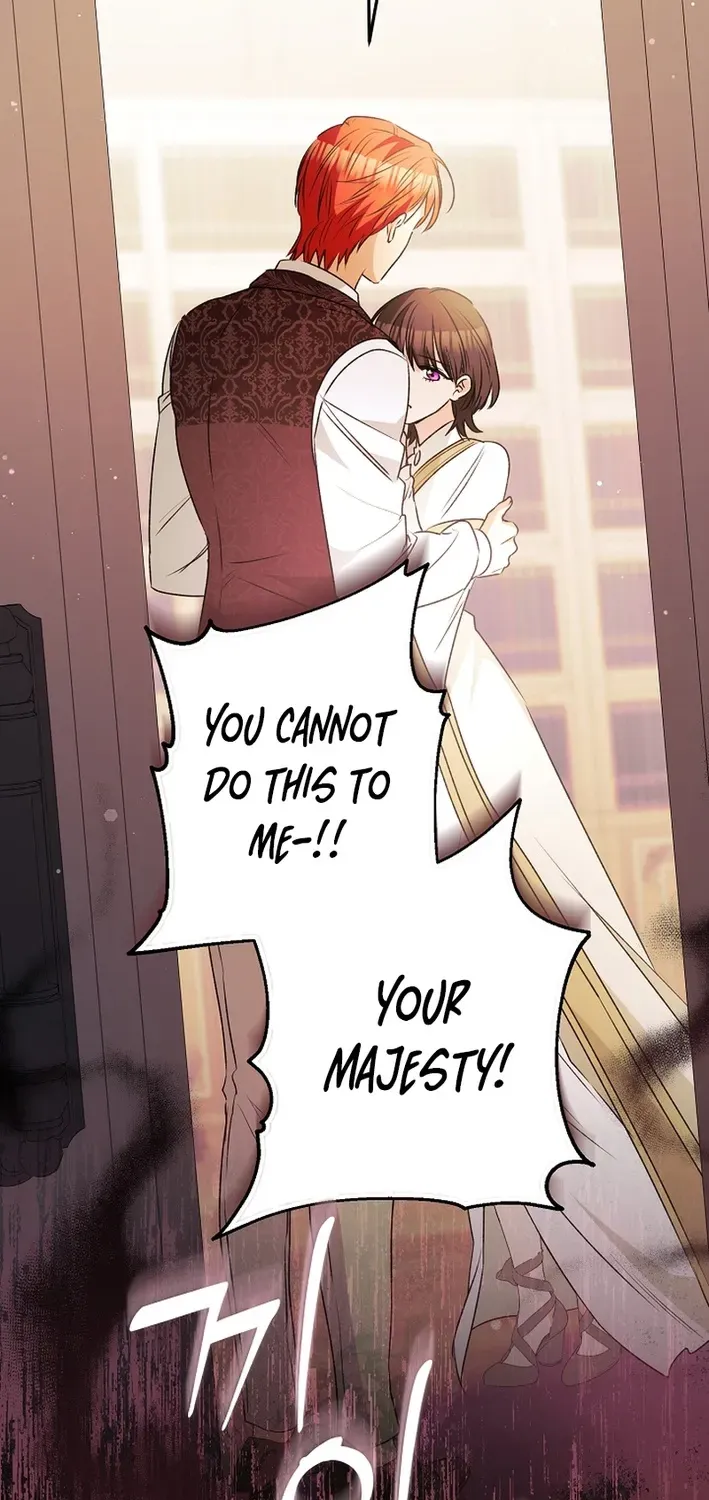 Stop Obsessing, Please Divorce Me! Chapter 13 page 66 - 