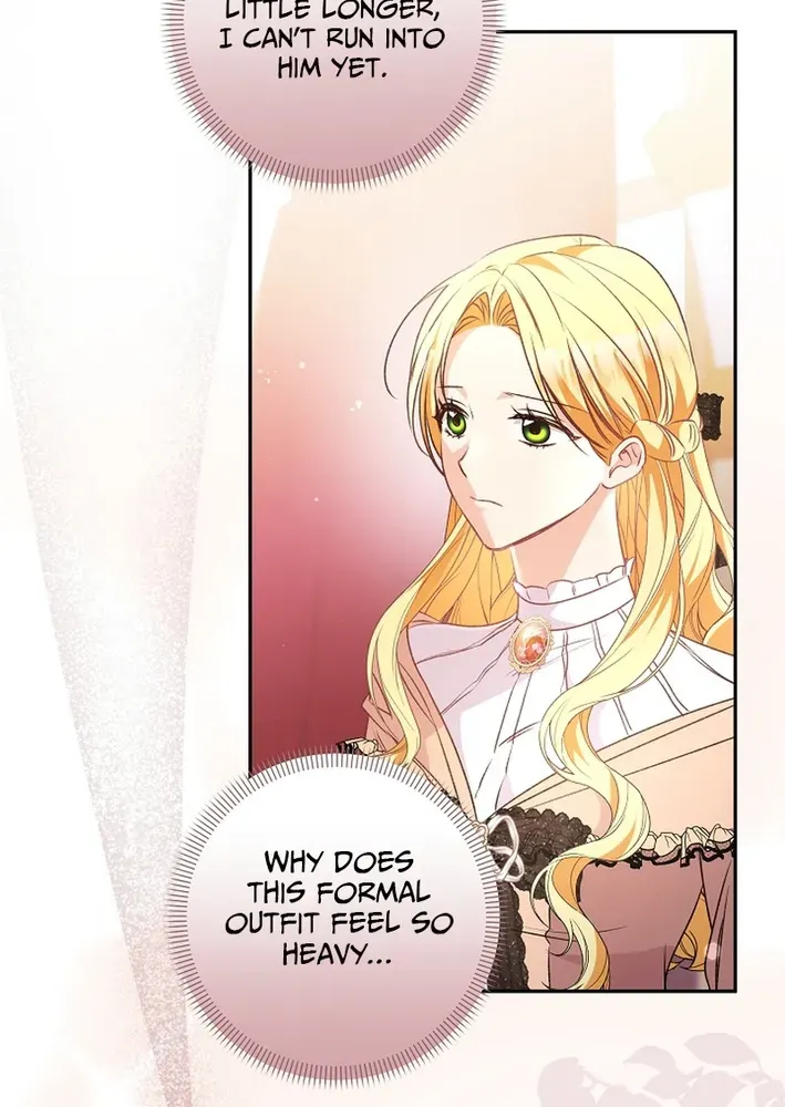 Stop Obsessing, Please Divorce Me! Chapter 13 page 91 - 