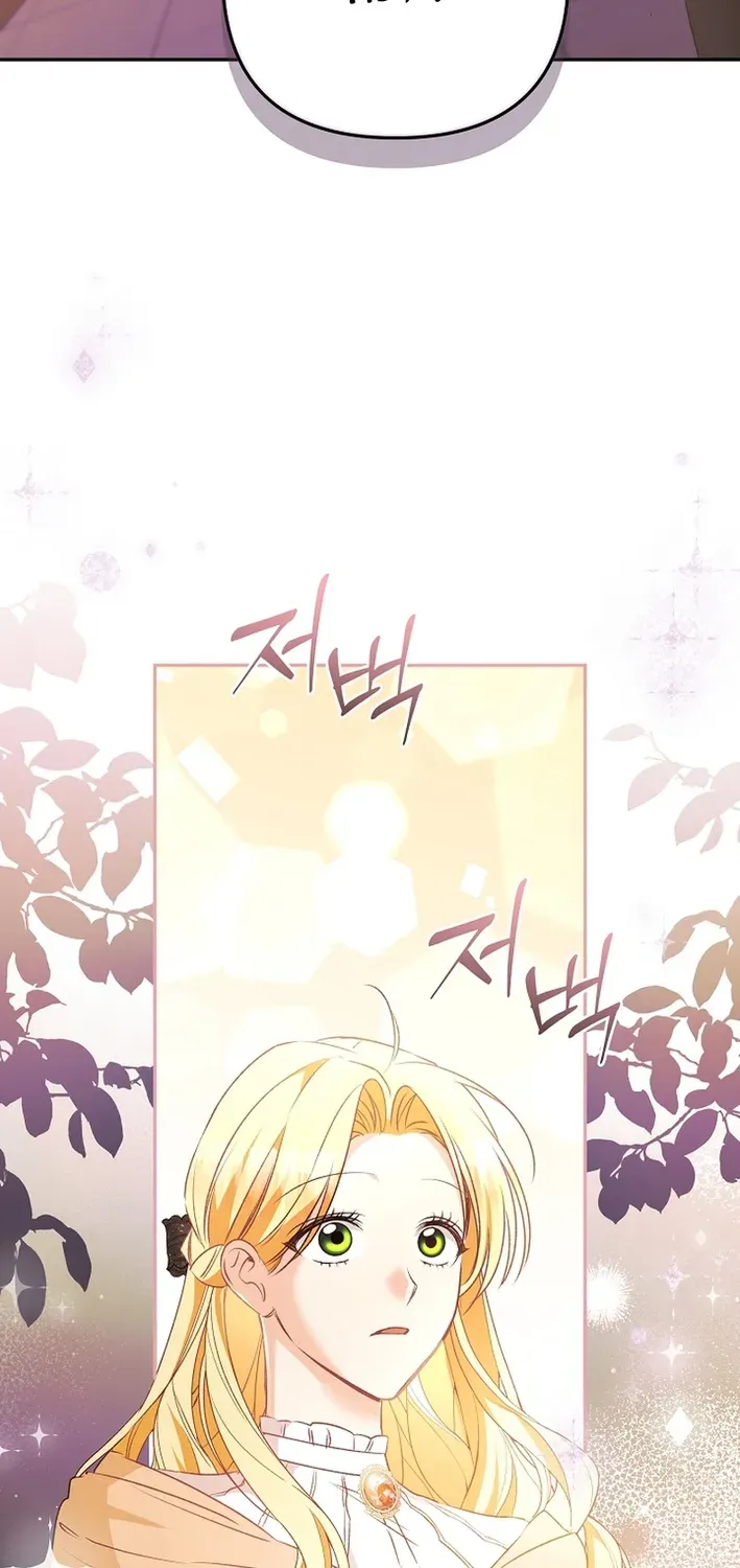 Stop Obsessing, Please Divorce Me! Chapter 13 page 94 - 
