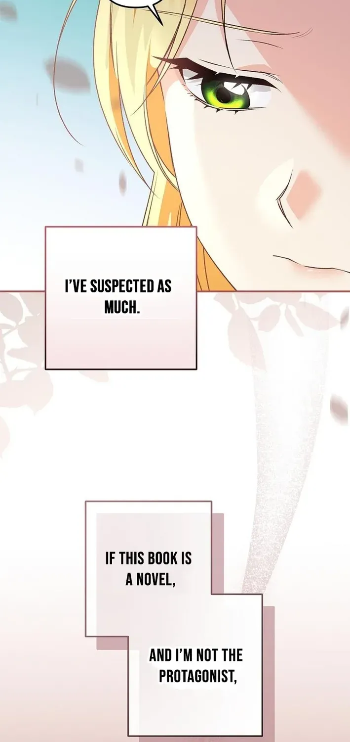 Stop Obsessing, Please Divorce Me! Chapter 14 page 17 - 