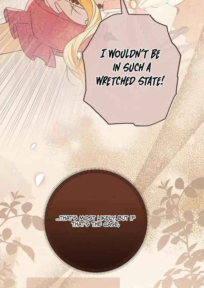 Stop Obsessing, Please Divorce Me! Chapter 14 page 28 - 