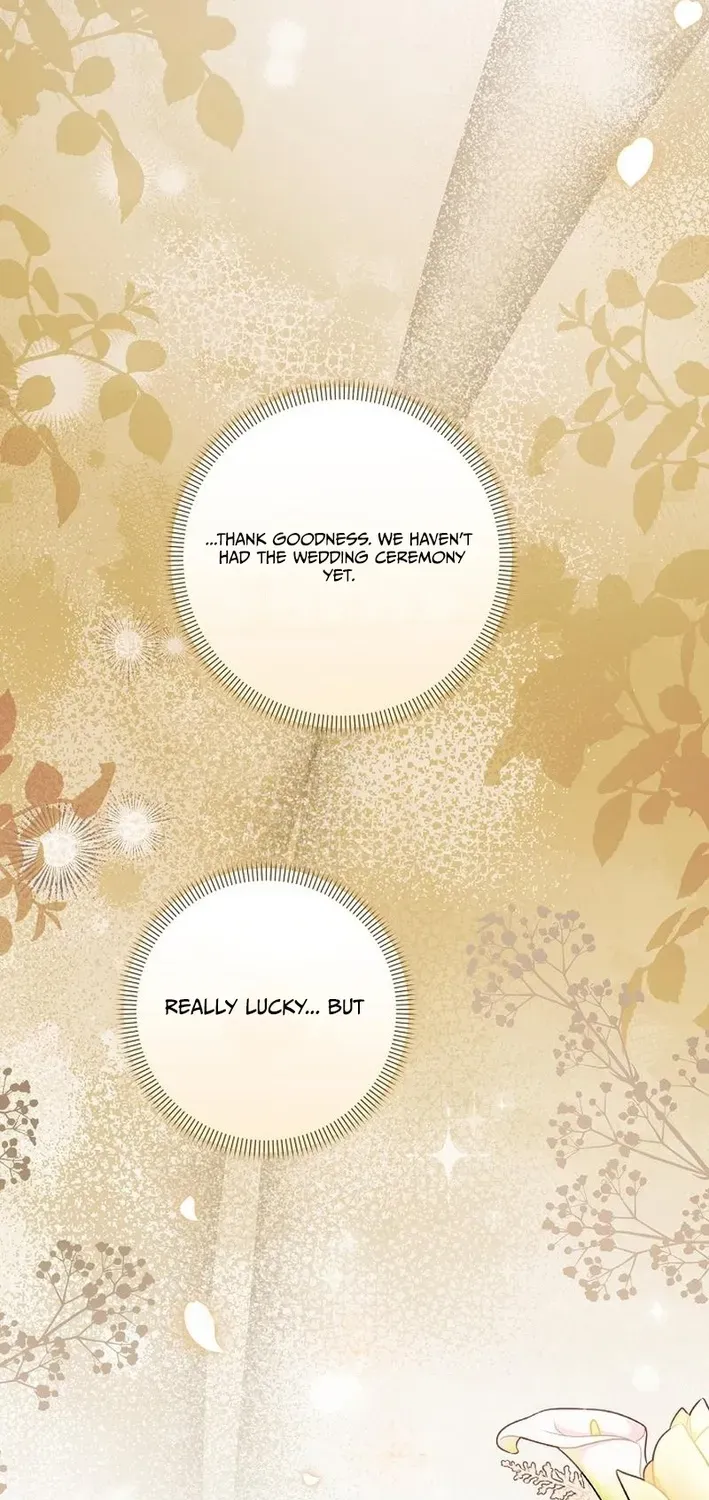 Stop Obsessing, Please Divorce Me! Chapter 14 page 33 - 