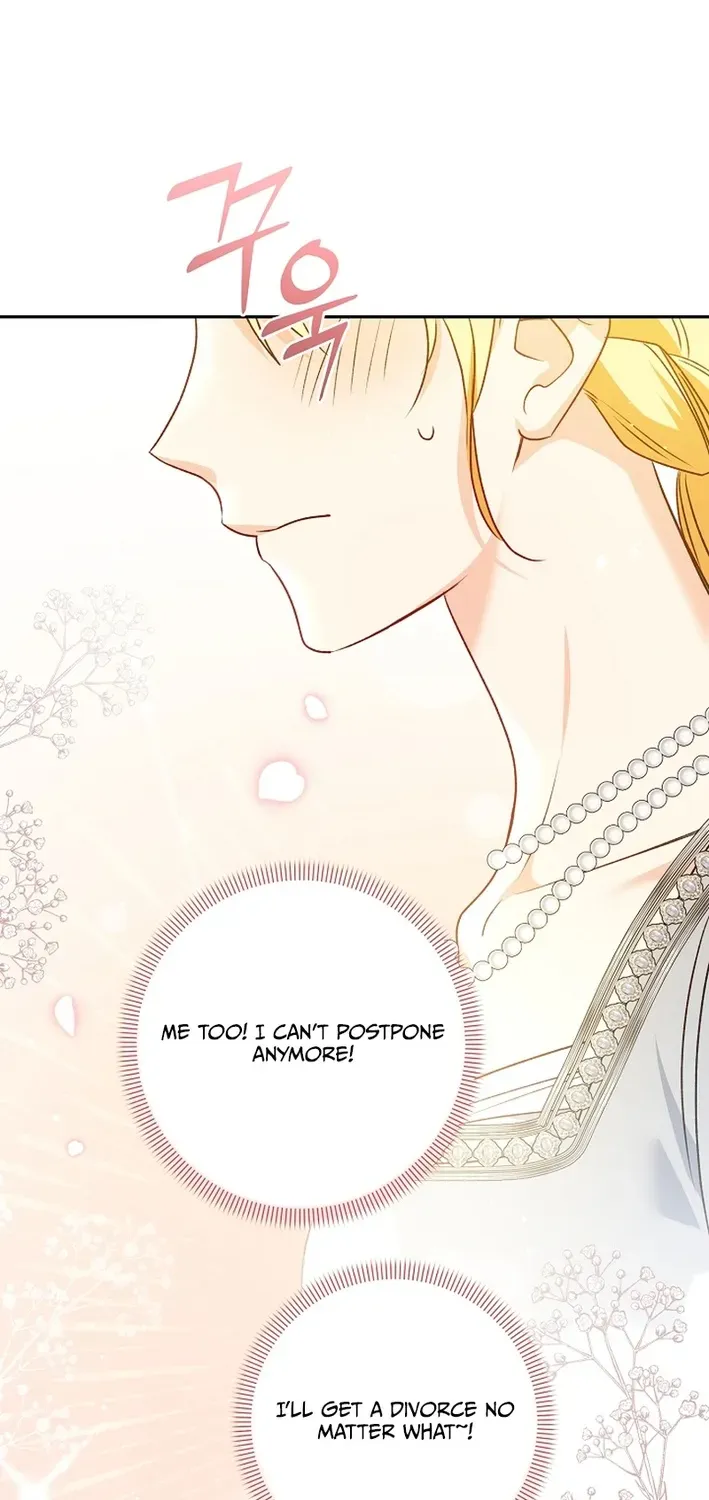 Stop Obsessing, Please Divorce Me! Chapter 15 page 60 - 