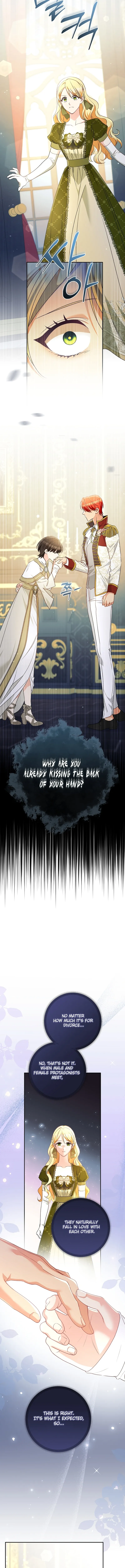 Stop Obsessing, Please Divorce Me! Chapter 18 page 6 - 
