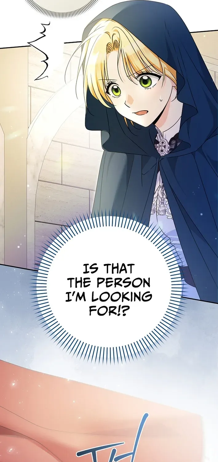 Stop Obsessing, Please Divorce Me! Chapter 2 page 15 - 