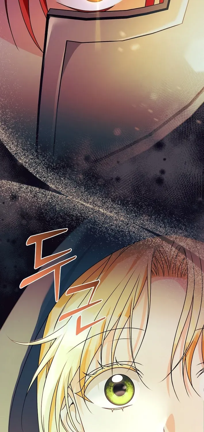 Stop Obsessing, Please Divorce Me! Chapter 2 page 22 - 