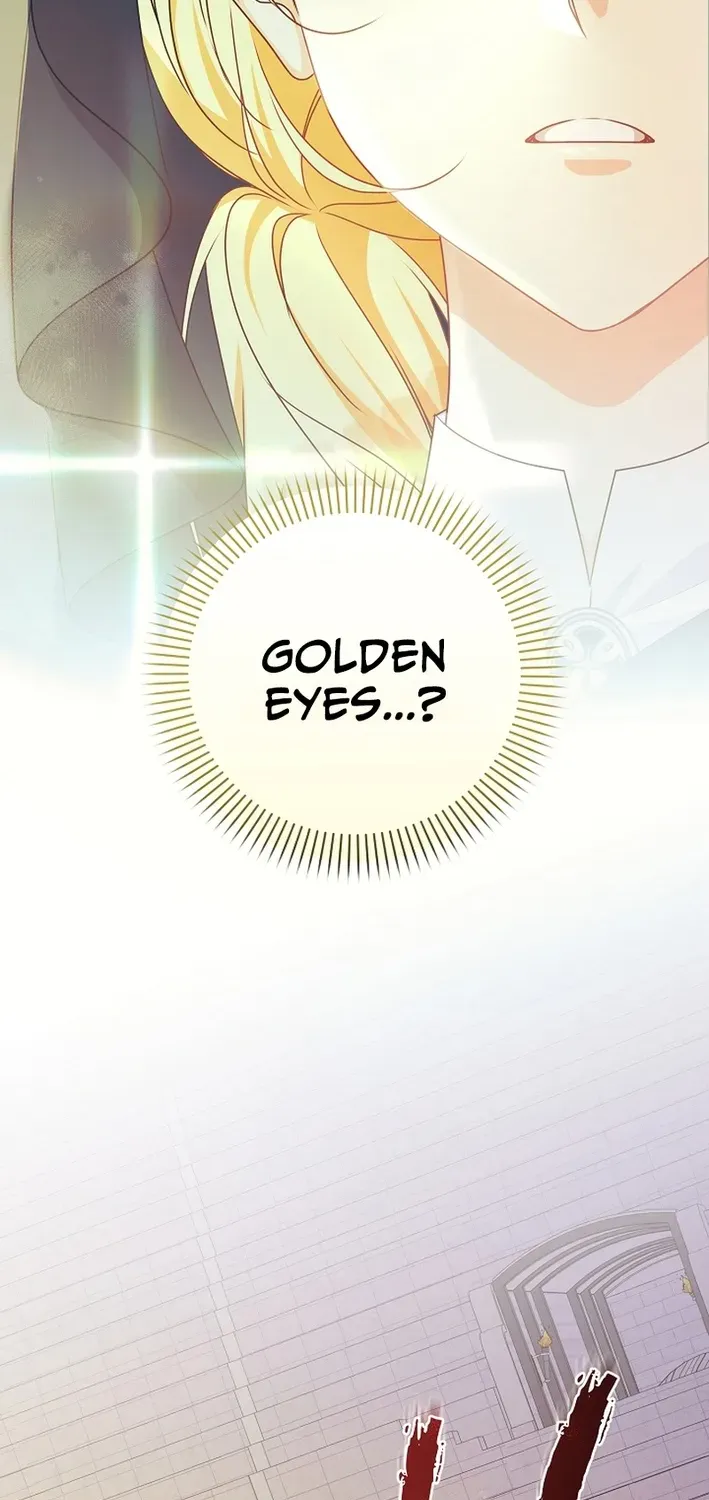 Stop Obsessing, Please Divorce Me! Chapter 2 page 23 - 