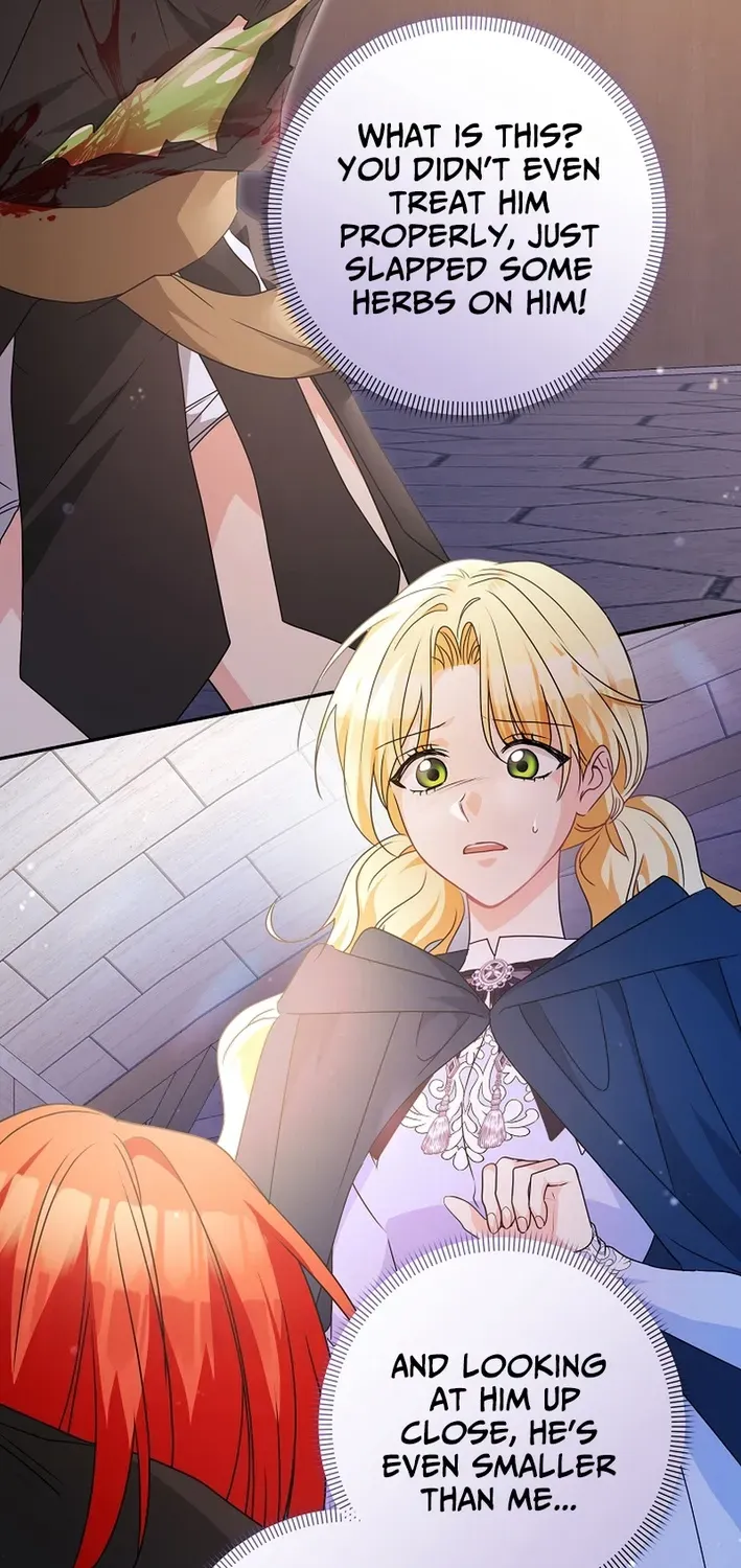 Stop Obsessing, Please Divorce Me! Chapter 2 page 45 - 