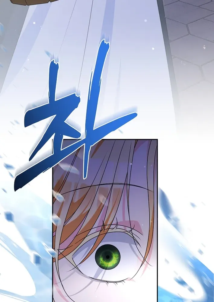 Stop Obsessing, Please Divorce Me! Chapter 2 page 49 - 