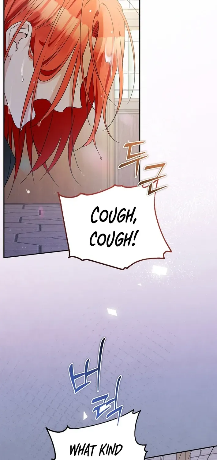 Stop Obsessing, Please Divorce Me! Chapter 2 page 51 - 