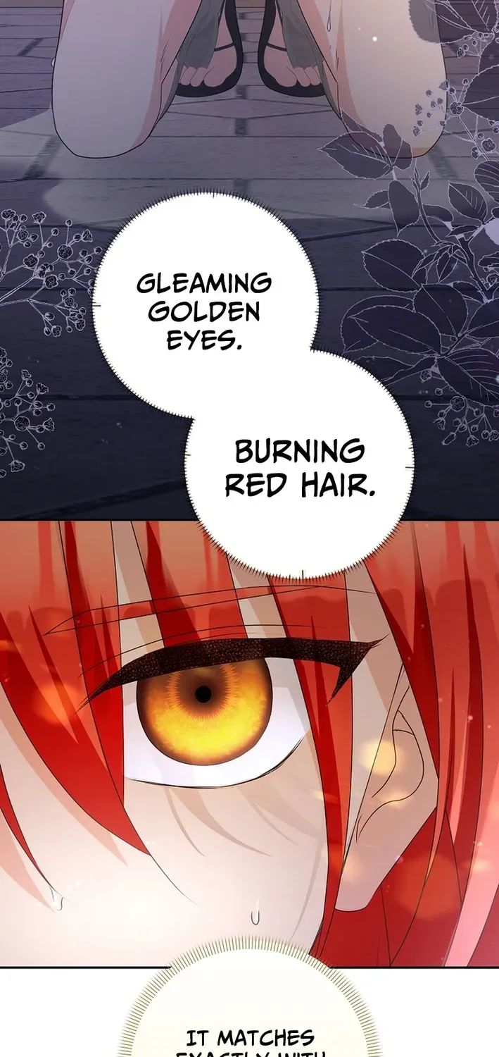 Stop Obsessing, Please Divorce Me! Chapter 2 page 57 - 